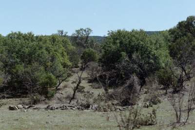 TEXAS SIGHT SEEING 14.JPG